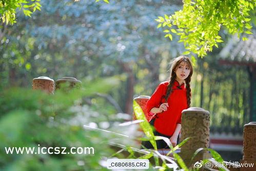 吃瓜今日吃瓜入口黑料,入口黑料背后的真相