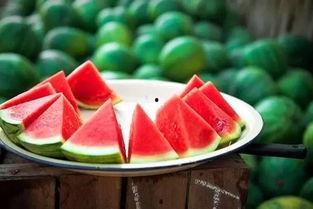 吃瓜大合集黑料色色,吃瓜大合集中的黑料与色色真相