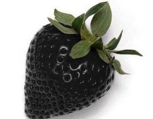 海角吃瓜黑料下载,下载背后的真相与争议